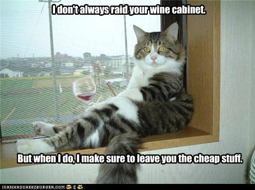 Bilder-Thread tXq4b52 funny-pictures-i-dont-always-raid-your-w