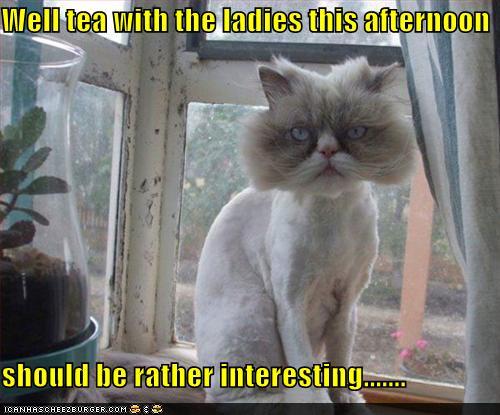 Bilder-Thread tXvWMvG funny-pictures-well-tea-with-the-ladies-