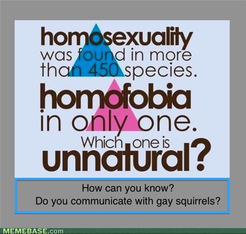 Bilder-Thread tY4OJgB internet-memes-how-can-you-know