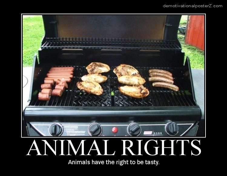 42385 animal rights 123 994lo