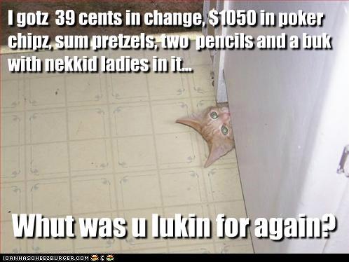 Bilder-Thread tYh9Vc9 funny-pictures-the-hidden-treasures-of-f