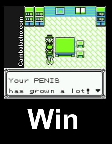 pokemonwin