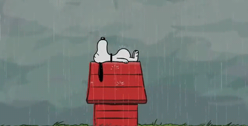 dkvFpg snoopy