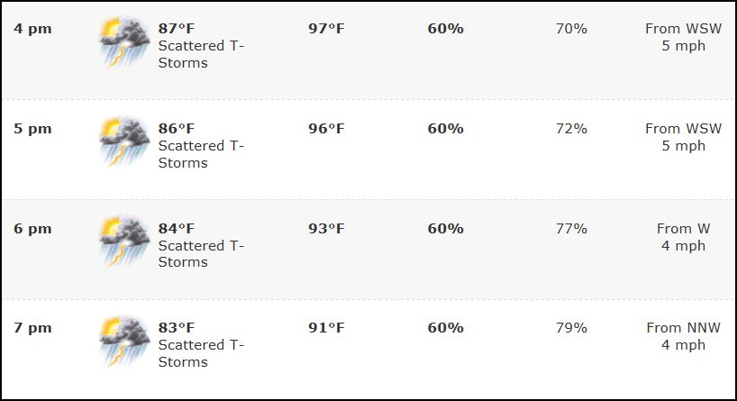 P6FI3F wheater forecast