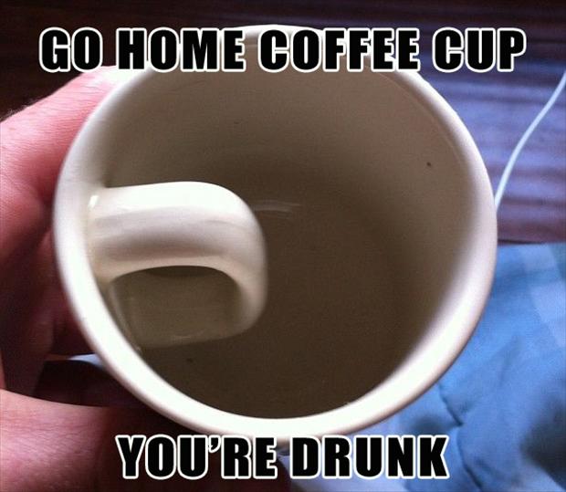 Bilder-Thread go home you are drunk 14