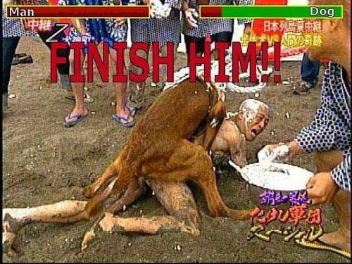 Bilder-Thread Mortal 54fae9 807020.jpeg