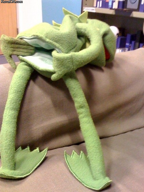 kermit goatse - kermitse