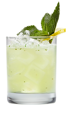 LemonMojito