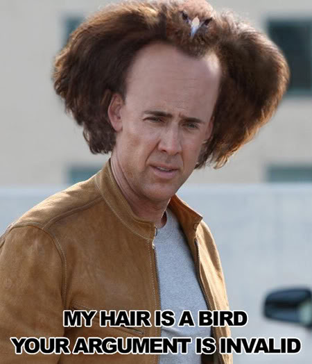 nicolas-cage-hair-is-a-bird