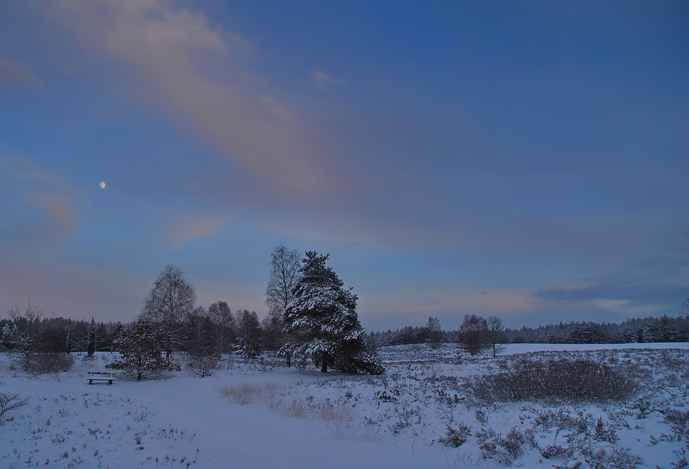 Bilder-Thread winter-abend-70f5316d-21d4-4f09-9f9a-a44
