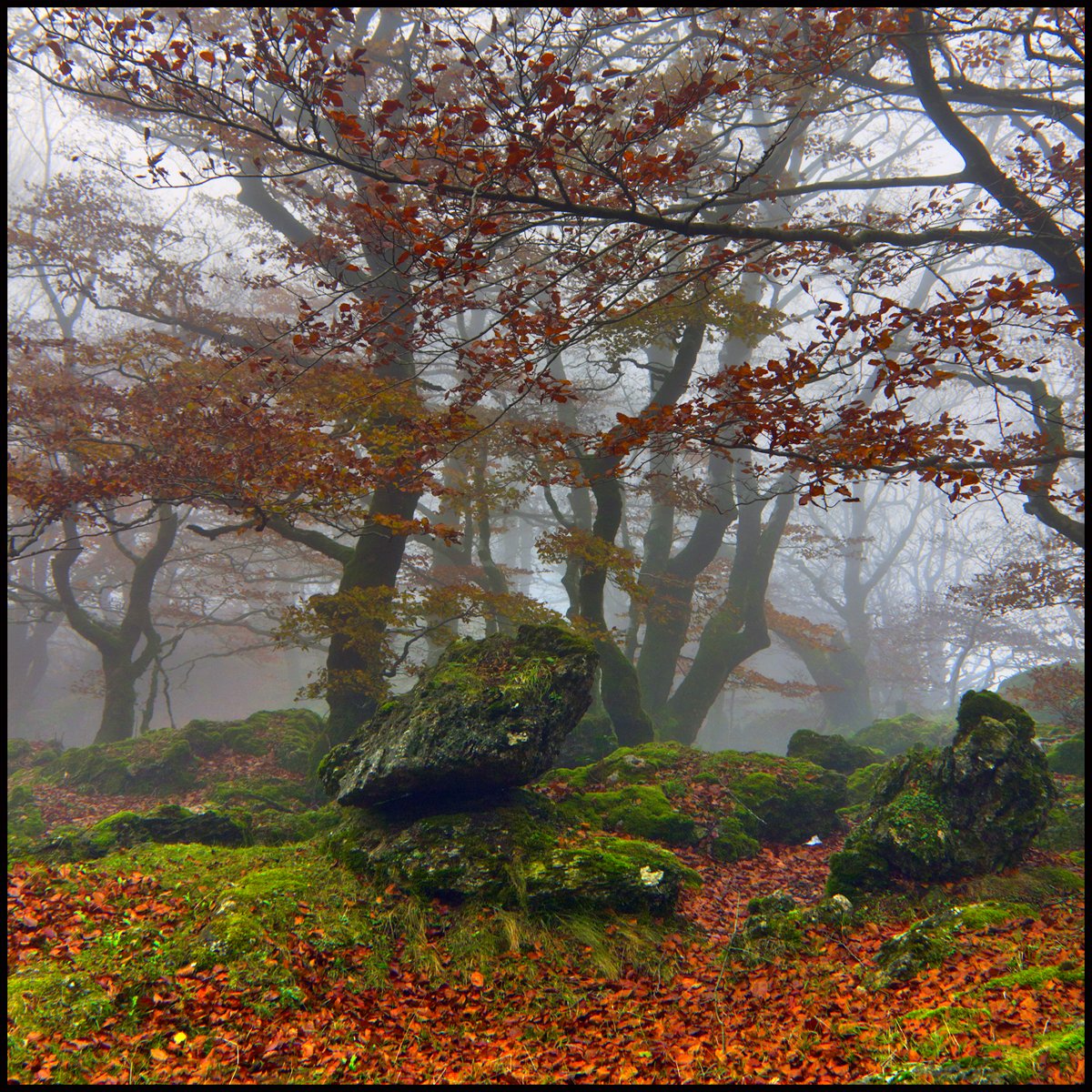 Bilder-Thread ta0kWJP 5176392944 3eb29491df o