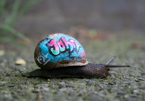 sli-snail graffiti 1 ar