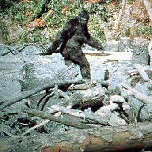 paterson-gimlin-footage-300x300