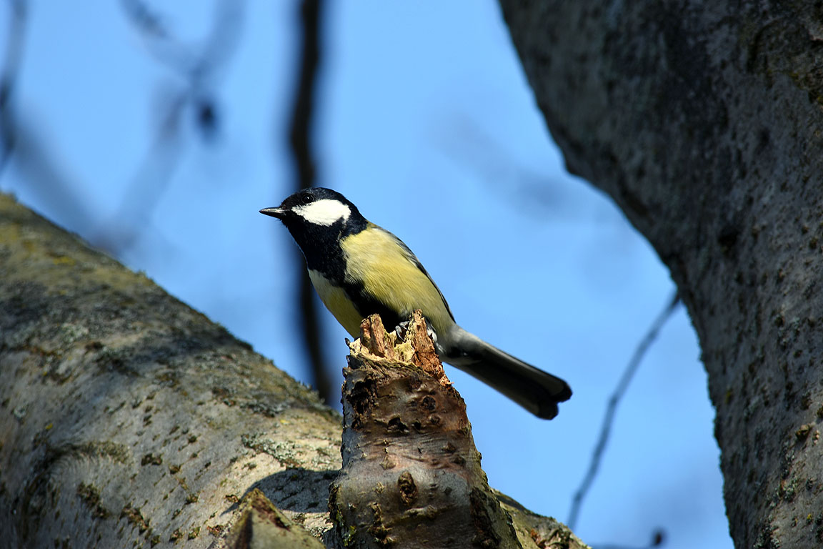 f849081b-2da0-4c64-8bbe-041e0abace64