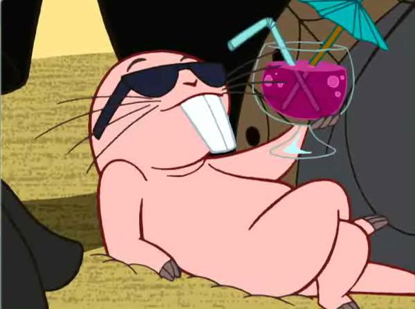 Rufus-Kim Possible