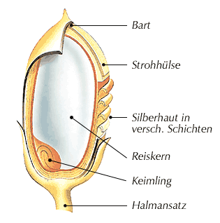 reiskunde 1