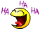 8a4d91 smiley-lol-279