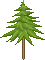 t880202 baum142