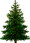 weihnachtsbaum21