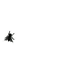 fliege 0039