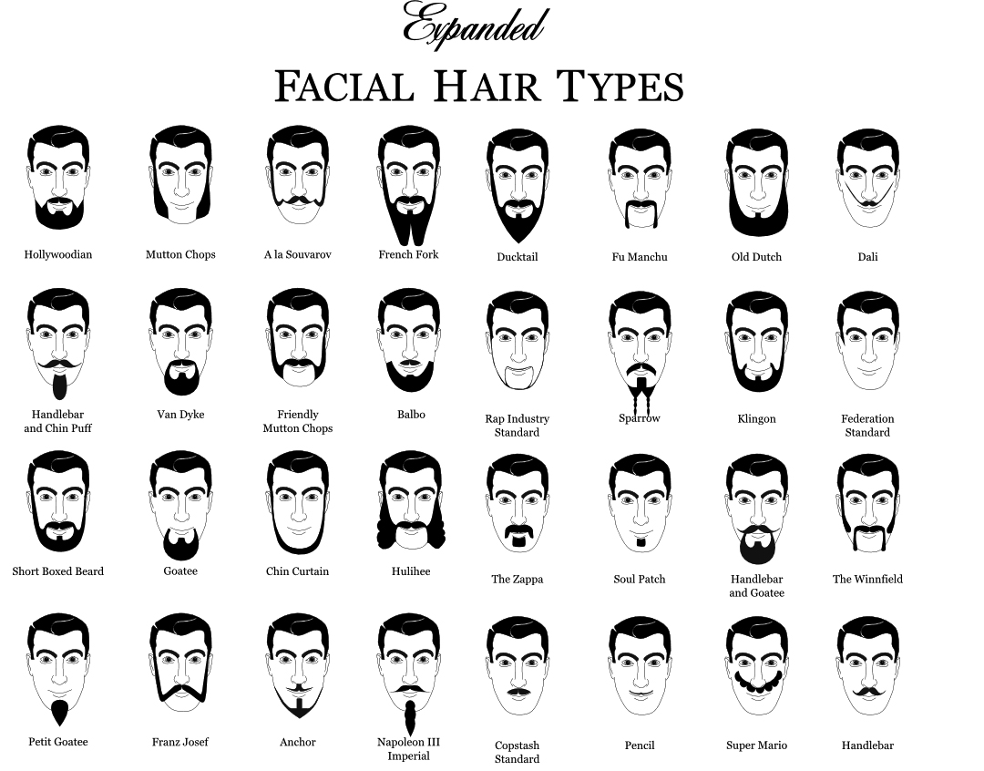 Bilder-Thread beard-chart-graphic-design-7