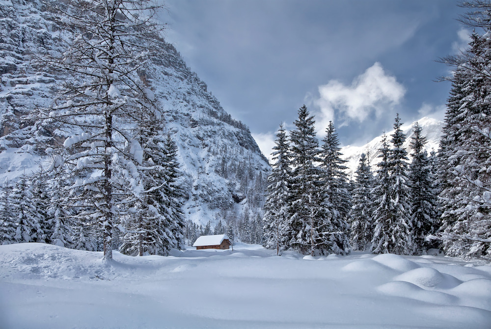 Bilder-Thread traumhaus-b4545a35-4f03-47b7-9a00-8a103a