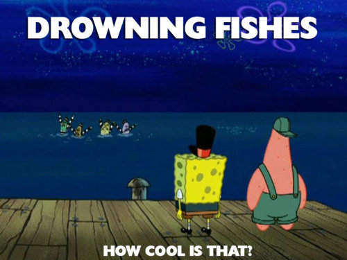 Bilder-Thread SpongebobMeme