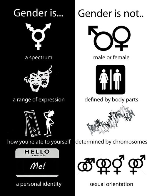 gender-is-gender-is-not
