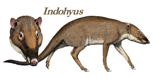 Buell Indohyus2