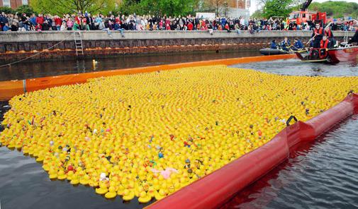 Am Wochenende gehen die Enten baden Arti