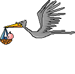 vogel-storch-002