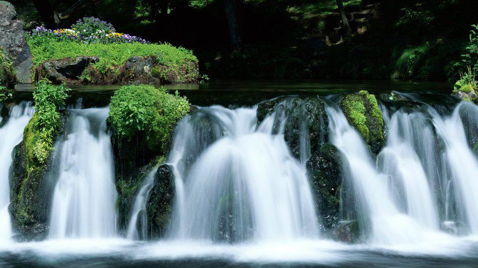 Bilder-Thread 5866dd 396125 296562250442730 303015837