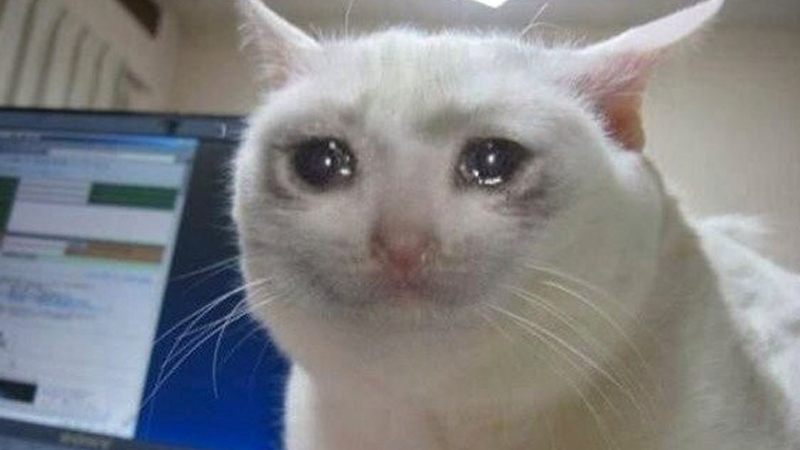 Fumos miese Spelunke crying