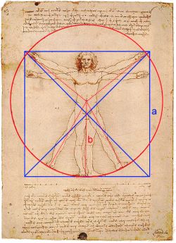 tc57109 vitruvianischermensch