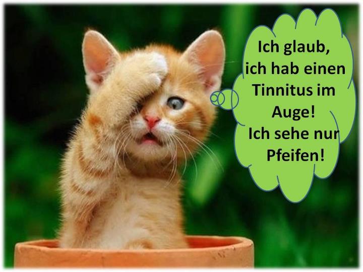 tinnitus im auge