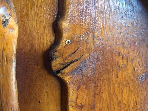 pareidolie wob bretterzaun 0415