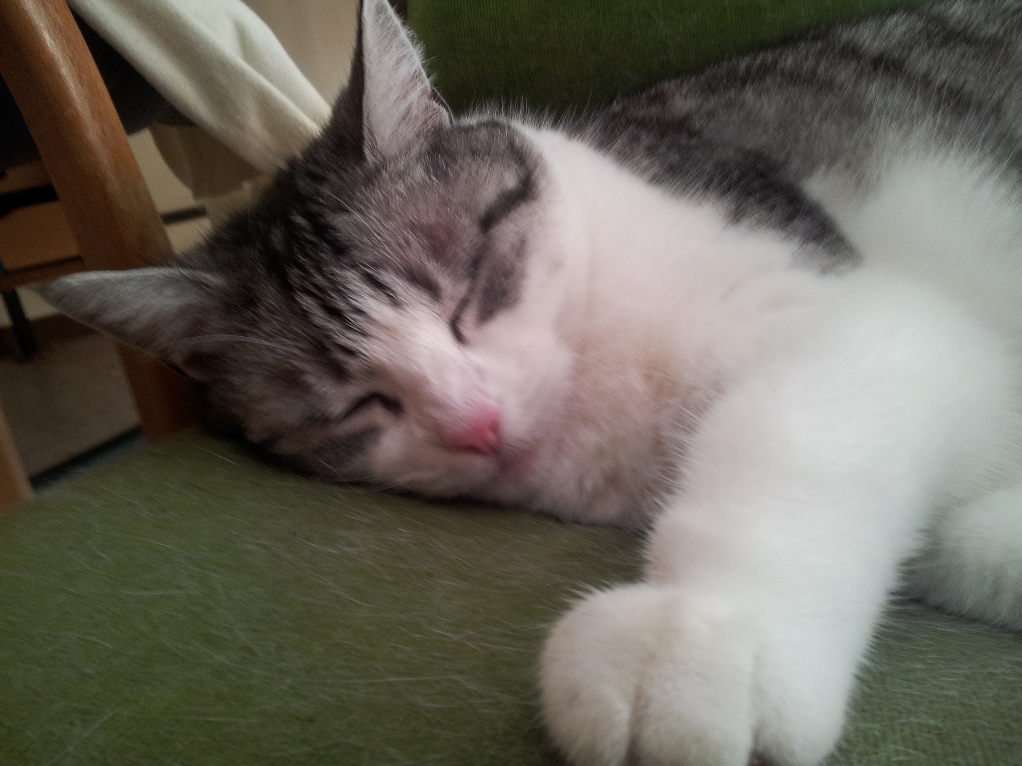 Bilder-Thread 3d2172 2013-06-22 19.28.48