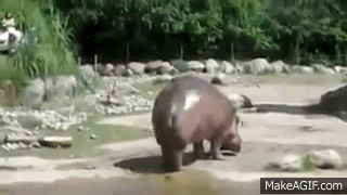 UfTTgJ