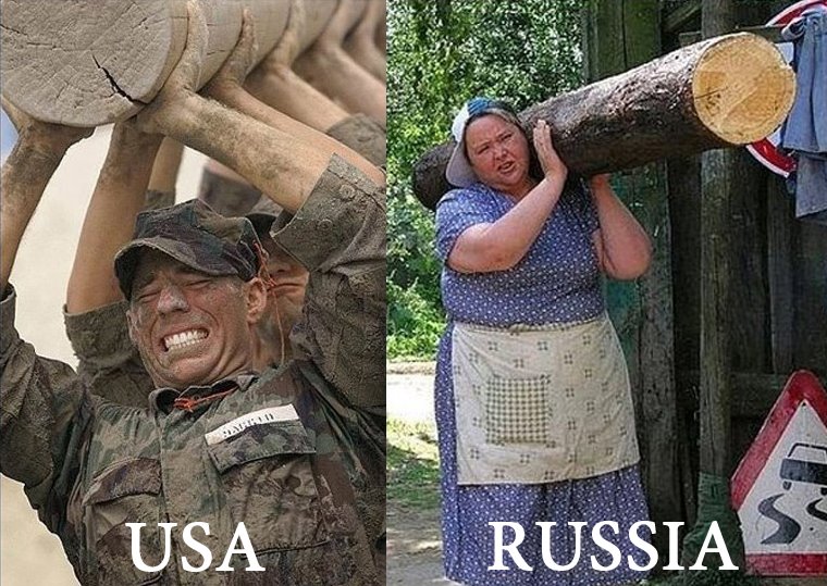 USA.Russland.unterschied.baumstamm