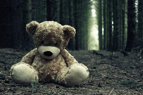 lonely-lost-sad-teddy-bear-woods-Favim.c