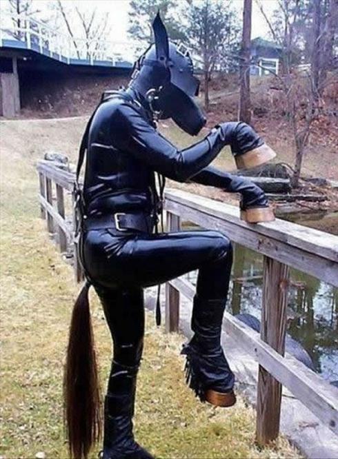 Latex horse