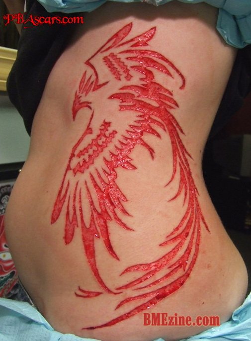 bird scarification