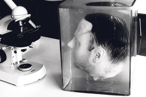 Bilder-Thread Museum-oder-Bestattung-fuer-Haarmanns-Ko