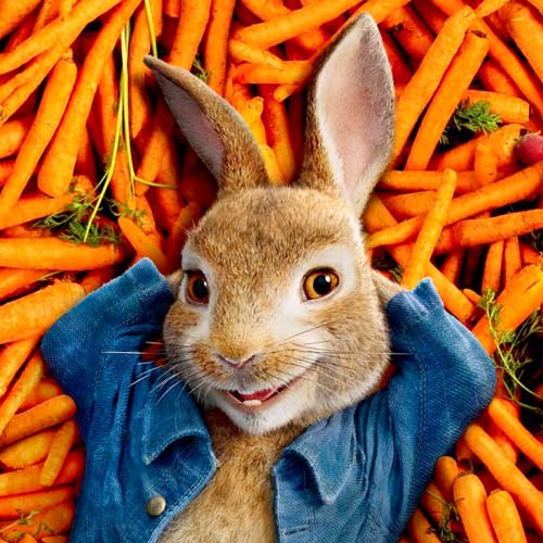 peterrabbit