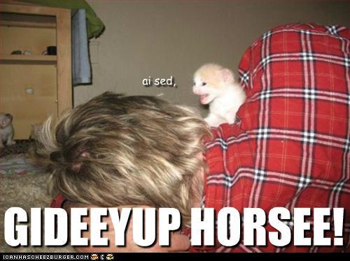 Bilder-Thread taGM3Ry funny-pictures-aill-pull-ur-mane