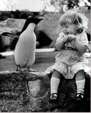 Bilder-Thread taOq3H7 IFqruH Penguin-Baby-1