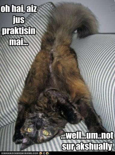 Bilder-Thread taYiOfX funny-pictures-dunno-what-aiz-doin-but-a