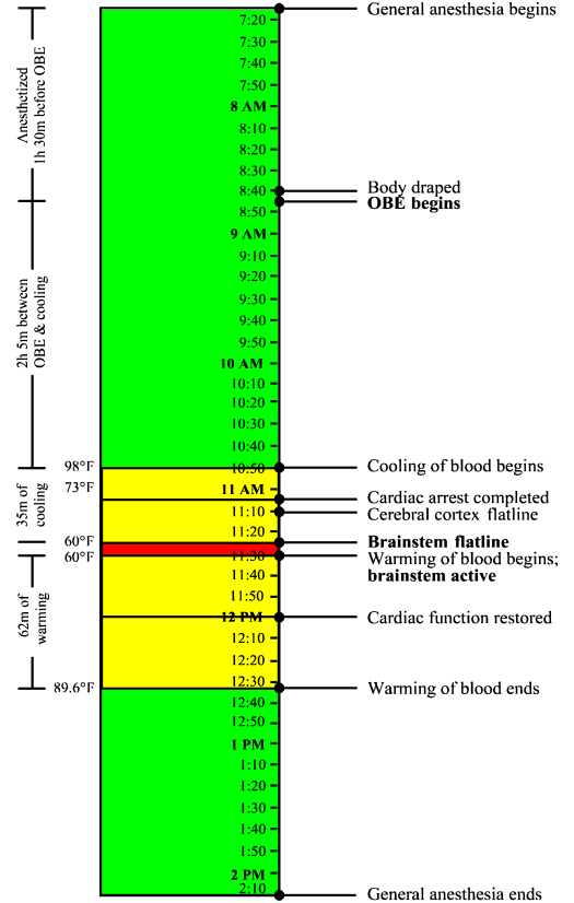 timeline