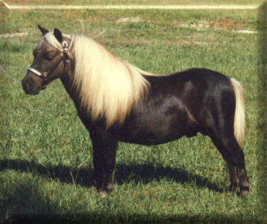 falabella