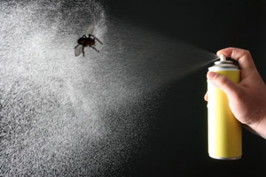 Insekten-Spray